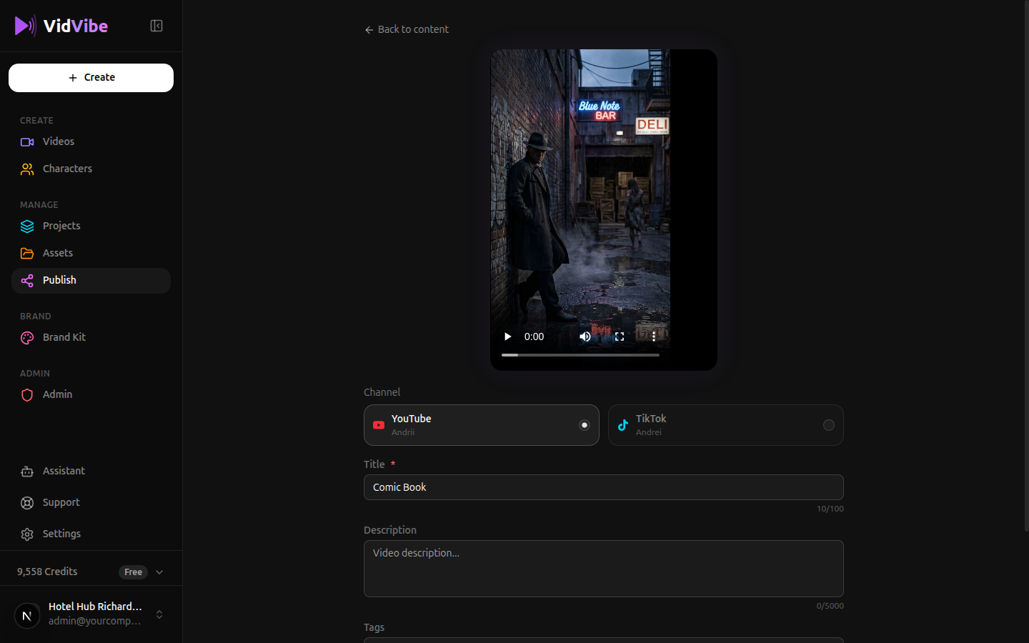 VidVibe publish form with auto-generated titles, descriptions, captions, and hashtags for YouTube and TikTok